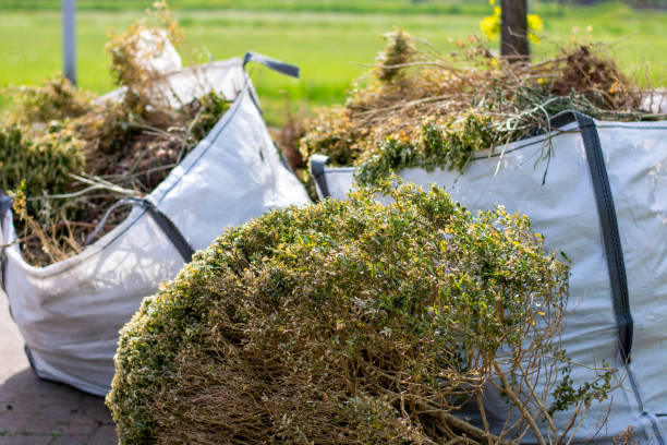 Best Office Junk Removal  in Kenova, WV